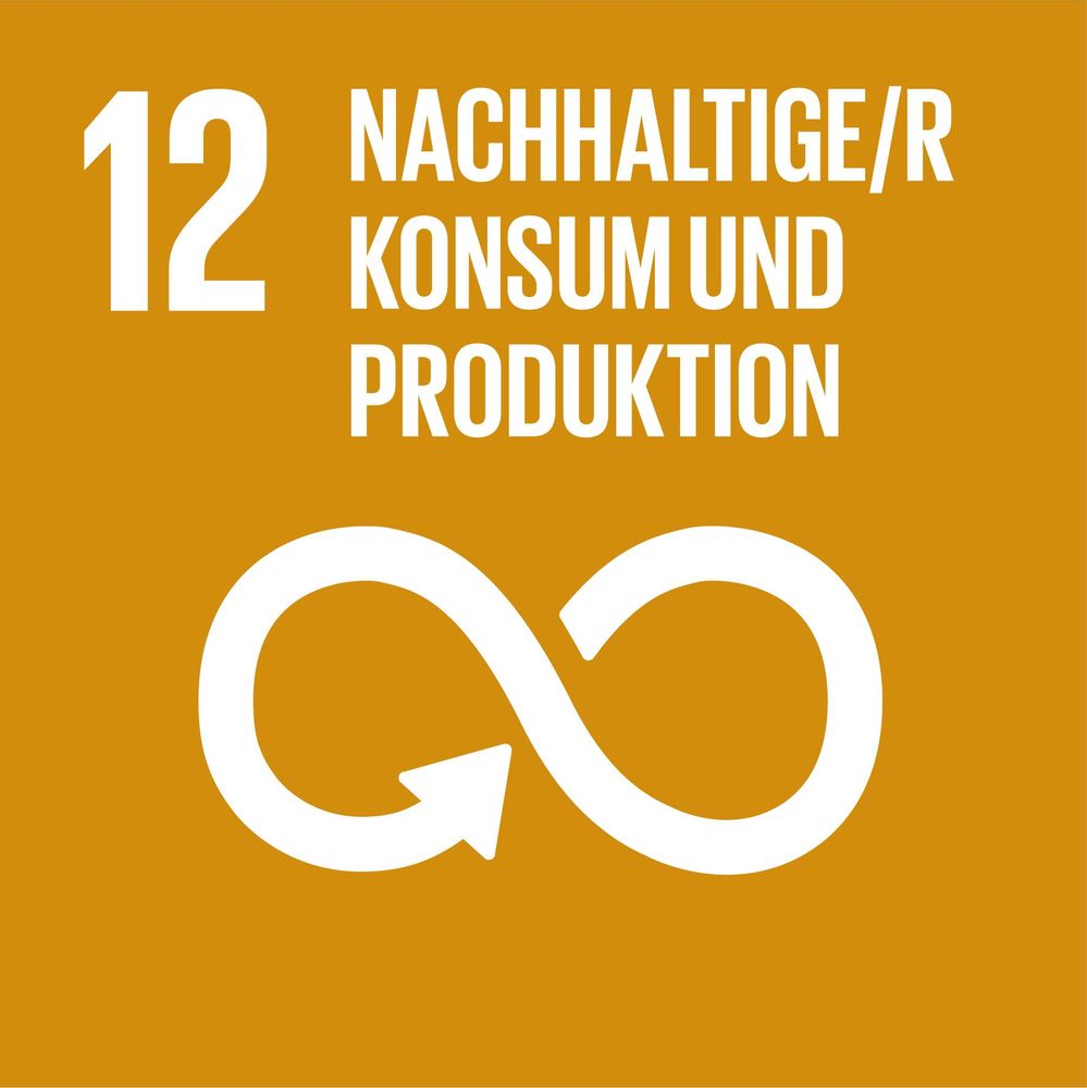 Icon UN-Nachhaltigkeitsziel 12. Nachhaltiger Konsum und Produktion